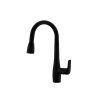 CM - Pull-Out Mixer Tap Matt Black