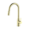 CM Fix Spout Brushed Gold