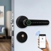 Oji - R2 Handle Smart Lock