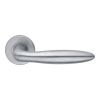 EuroArt Lever on Rose Handle with Escutcheon