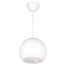 DSPPA Pendant Speakers Sound Projector