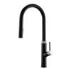 CM Pull-Out Mixer Tap Nero Black Finish