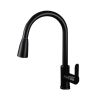 CM Mixer Tap Pull-Out Matte Black Finish
