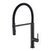 CM Pull-Out Mixer Tap with Abs 2 Function