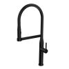 CM Pull-Out Mixer with Abs 2 Function Black Color
