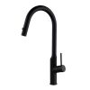 CM Pull-Out Mixer Tap Matt Black Finish