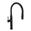 CM Pull-Out Mixer Tap Matt Black