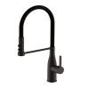 CM Pull-Out Mixer Tap