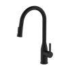 CM Pull-Out Tap Mixer