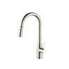 CM Pull-Out Mixer Tap Chrome Finish