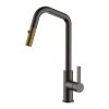 CM Pull-Out Mixer Tap Grey Gold Finish