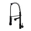 CM Pull-Out Tap with Spray Black Color