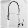 CM SL-4731 Brushed Nickel Chrome Pull-Out Mixer