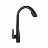 CM Pull-Out Mixer Tap Matte Black Finish