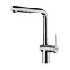 Franke L Spout Dual Spray Pull Down