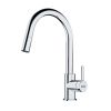 Franke Lina Pull-Out Mixer with Shower
