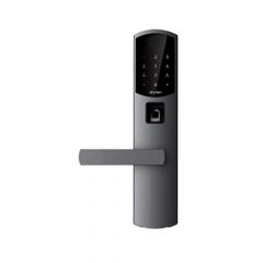 Wulian Bern IoT NFC Lock Black