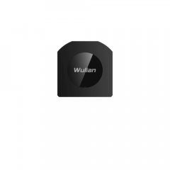 Wulian Embedded Switch