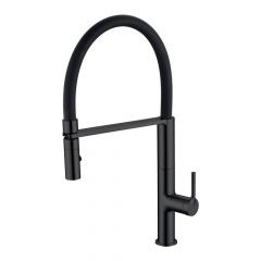 CM Pull-Out Mixer Tap with Abs 2 Function