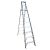 Penguin -Aluminium Two-in-One Ladder - Load Capacity 150Kg