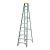 Penguin - Fibreglass Single Sided Ladder-Plastic Top