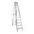 Penguin - Heavy Duty Double Sided Ladder - Aluminum Top