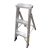 Penguin -Aluminium Two-in-One Ladder - Load Capacity 150Kg