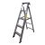 Penguin -Aluminium Two-in-One Ladder - Load Capacity 150Kg
