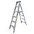 Penguin -Aluminium Two-in-One Ladder - Load Capacity 150Kg