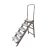 Penguin - Compact Stool Ladder Step - Non-Slip Ribbed Steps