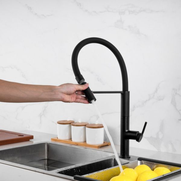 CM Pull-Out Mixer Tap with Abs 2 Function