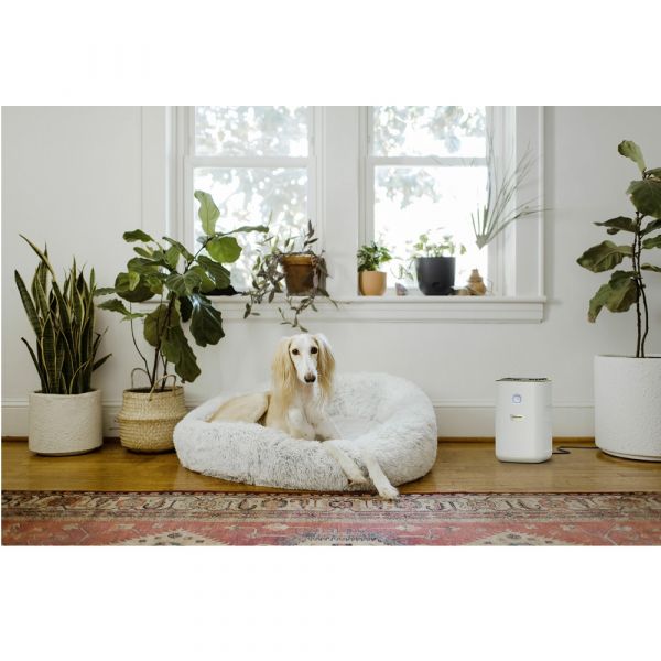 Karcher - AF 20 Air Purifier - Fast Air Purification