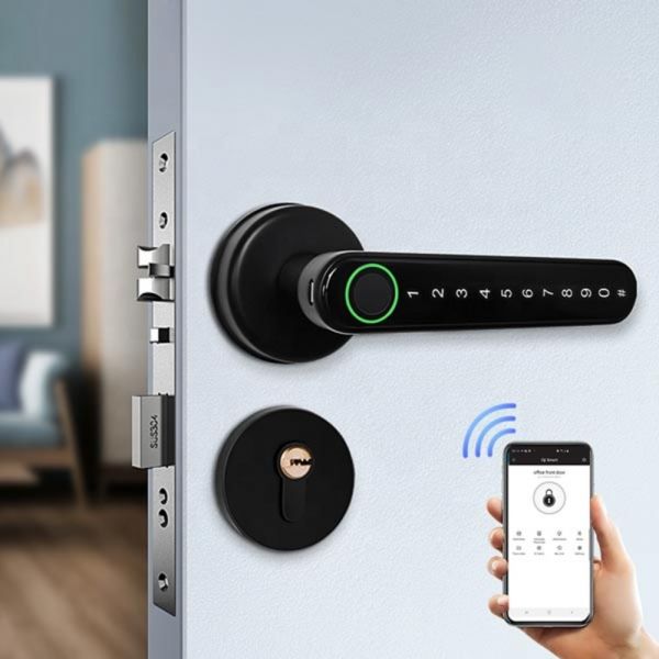 Oji - R2 Handle Smart Lock