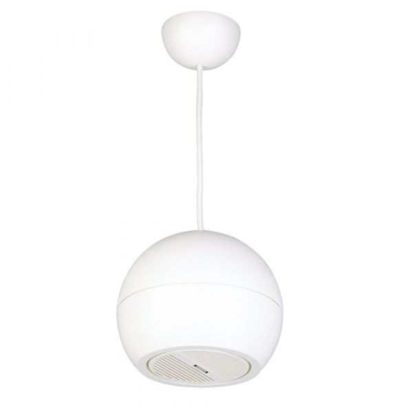 DSPPA Pendant Speakers Sound Projector