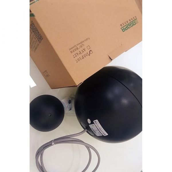 DSPPA Pendant Speakers Sound Projector