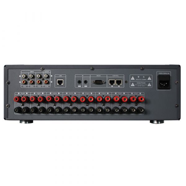 DSPPA Multi-Room Music System Host