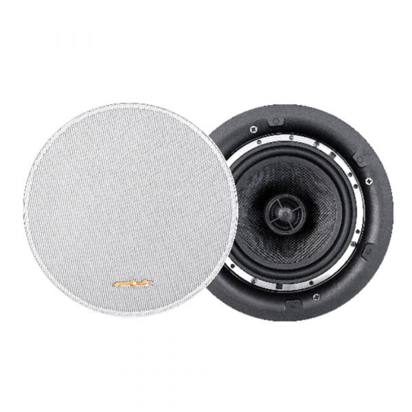DSPPA Stereo Ceiling Speaker