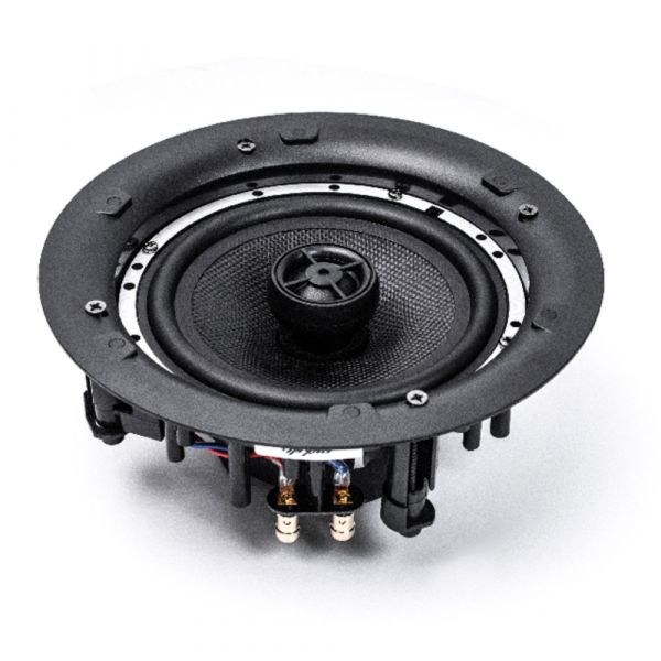 DSPPA Stereo Ceiling Speaker