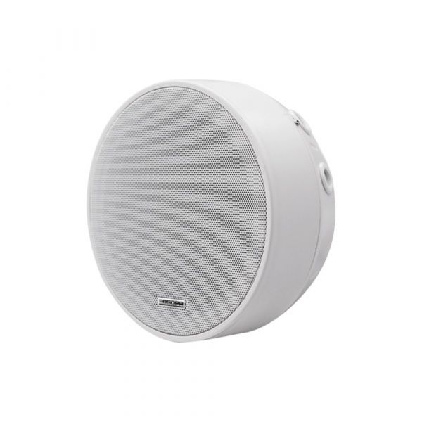 DSPPA 6.5 Inch Surface Mount Ceiling Speaker