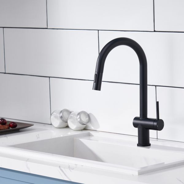 Suizak Kitchen Faucet with Pull-out Spray