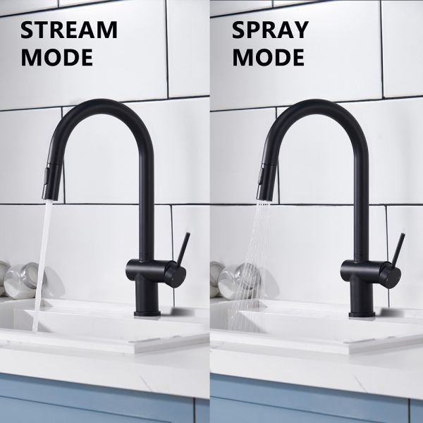 Suizak Kitchen Faucet with Pull-out Spray