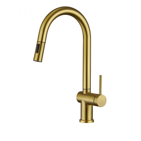 Suizak Kitchen Faucet with Pull-out Spray
