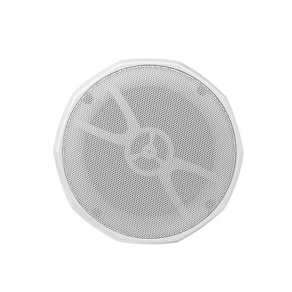 DSPPA 30W Pendant Speaker