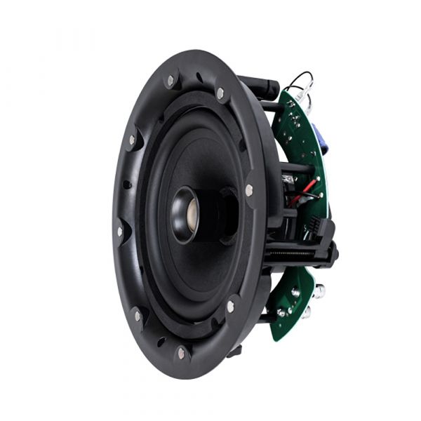DSPPA 8'' 60W Ceiling Speaker