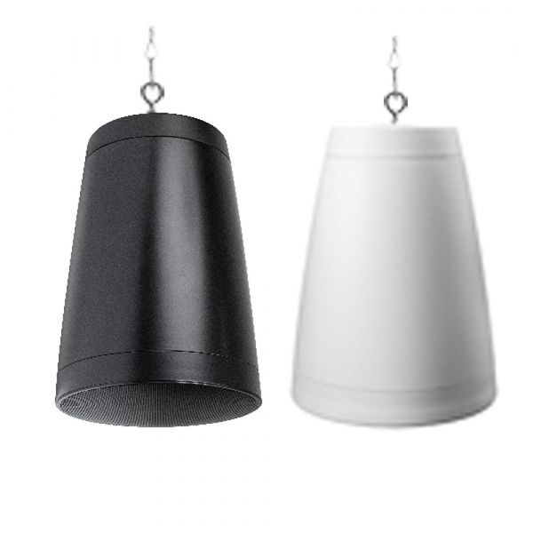 DSPPA 8 Inch Pendant Mount Subwoofer