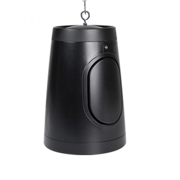 DSPPA 8 Inch Pendant Mount Subwoofer