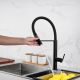 CM Pull-Out Mixer Tap with Abs 2 Function