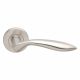 EuroArt - Lever on Rose Handle with Escutcheon