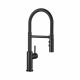 Blanco 360° Swivel Spout Pull-Out Dual Spray Mixer Tap