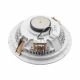 DSPPA 10W 8 Inch Frameless Ceiling Speaker